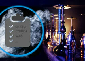 Выбор кальяна — руководство для начинающих