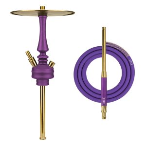 Hoob Mars Mini Royal Purple x Gold