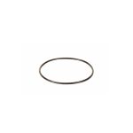 O-Ring do korpusu Vyro One