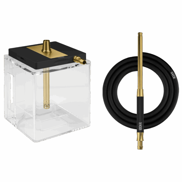 Hoob Atom Black x Gold