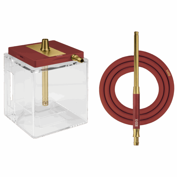 Hoob Atom Wine Red x Gold x Clear