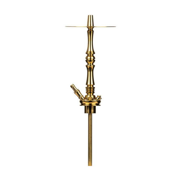 Shisha Moze Tradi L Gold